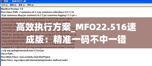 高效执行方案_MFO22.516速成版：精准一码不中一错