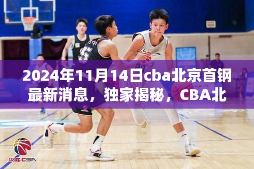 独家揭秘，CBA北京首钢队最新动态速递（2024年11月14日版）