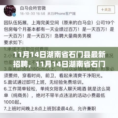 湖南省石门县最新招聘现象深度解读，探讨利弊与个人立场观察