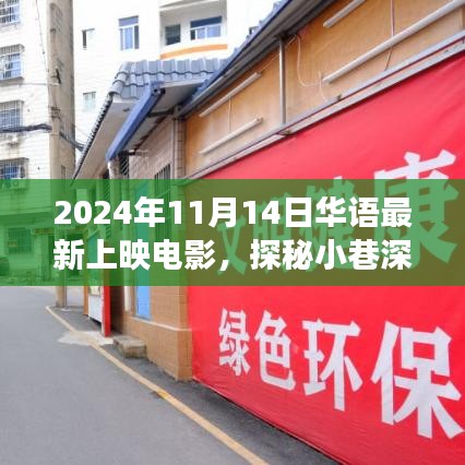 探秘小巷深处的电影宝藏，华语新片与独特小店的奇妙故事（2024年11月上映）