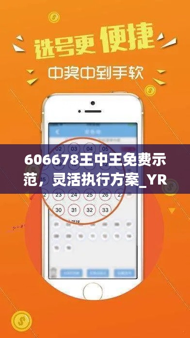 606678王中王免费示范，灵活执行方案_YRT19.649互动版