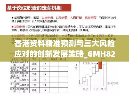 香港资料精准预测与三大风险应对的创新发展策略_GMH82.786户外版