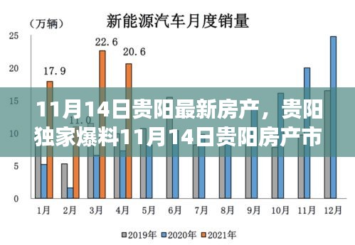 独家爆料，11月14日贵阳房产市场最新动态全解析