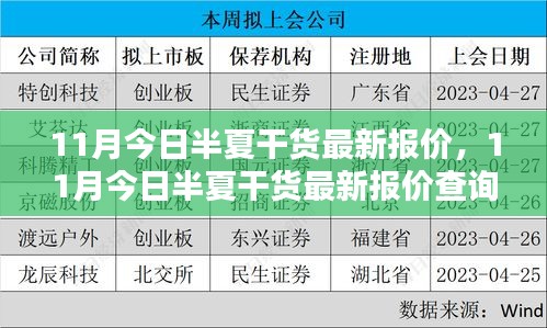 11月半夏干货最新报价及购买指南，适合初学者与进阶用户的全方位资讯