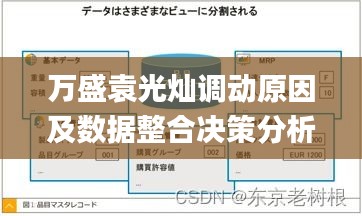 万盛袁光灿调动原因及数据整合决策分析_OSK23.887生活版