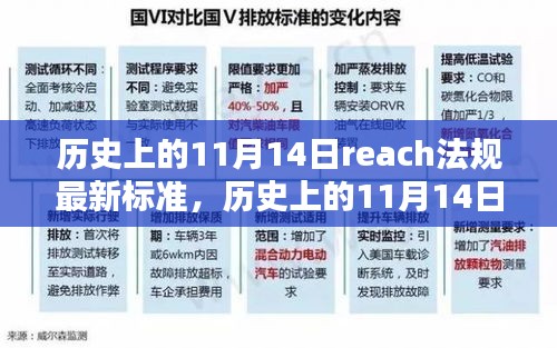 REACH法规最新标准诞生，历史上的11月14日及其影响