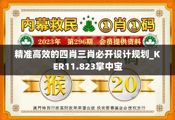 精准高效的四肖三肖必开设计规划_KER11.823掌中宝