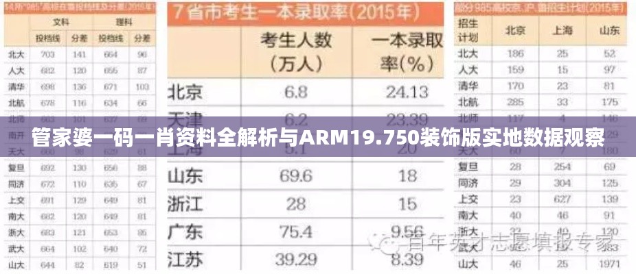 管家婆一码一肖资料全解析与ARM19.750装饰版实地数据观察