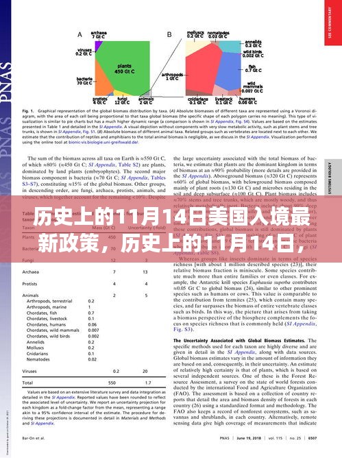 美国入境政策重塑，历史上的11月14日变化与学习的自信与成就感之路