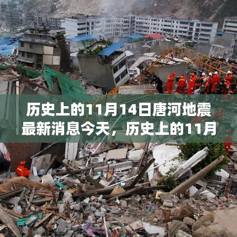 历史上的唐河地震，今日最新消息与应对步骤指南