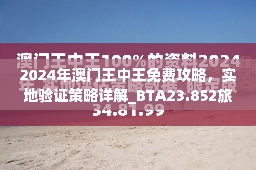 2024年澳门王中王免费攻略，实地验证策略详解_BTA23.852旅行版