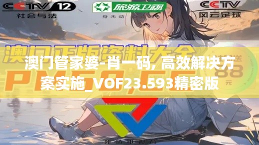 澳门管家婆-肖一码, 高效解决方案实施_VOF23.593精密版