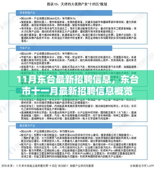 11月东台最新招聘信息总览，东台市十一月求职招聘资讯