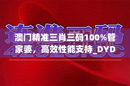 澳门精准三肖三码100%管家婆，高效性能支持_DYD84.704兼容版