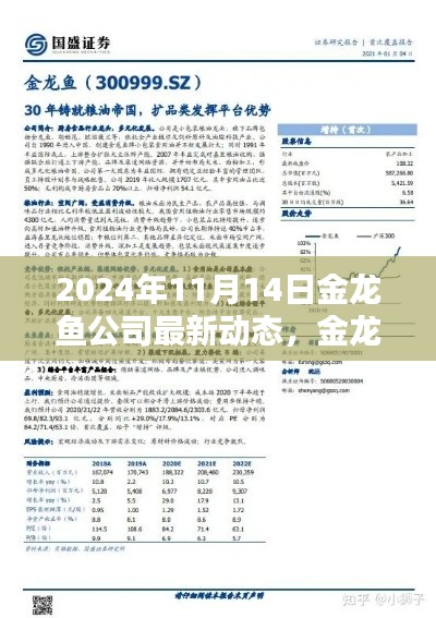 2024年11月15日 第15页