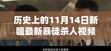 历史上的11月14日新疆暴徒杀人事件全面解析与应对技能学习