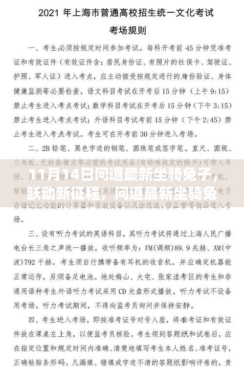 问道最新坐骑兔子跃动新征程，学习之旅的新篇章