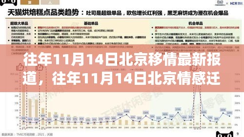 北京情感迁移现象深度解析，历年11月14日的最新报道与深度观察