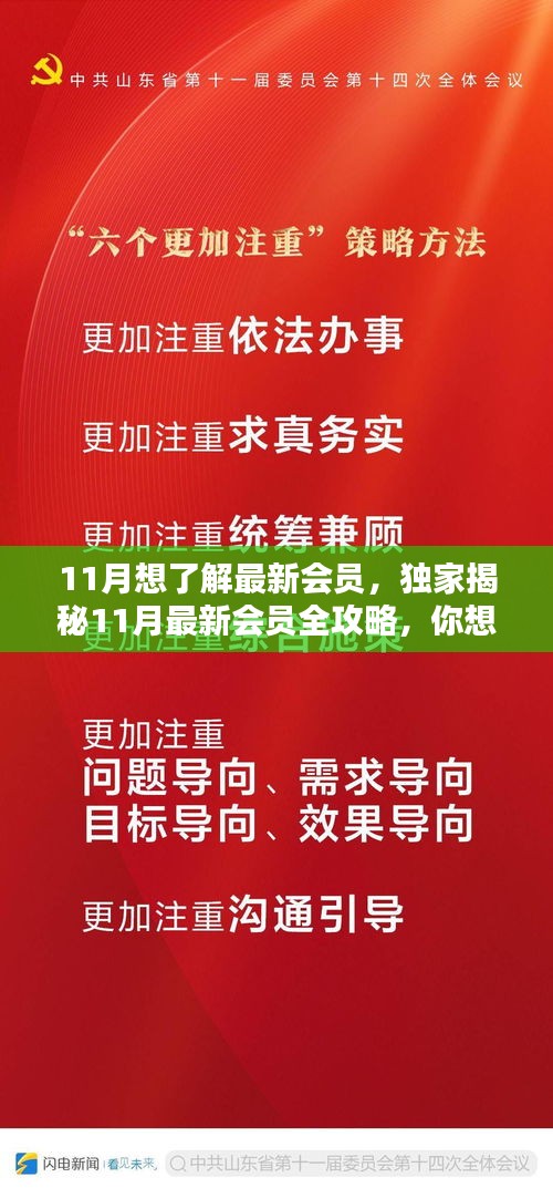 独家揭秘，11月最新会员全攻略揭秘，你想了解的都在这里！