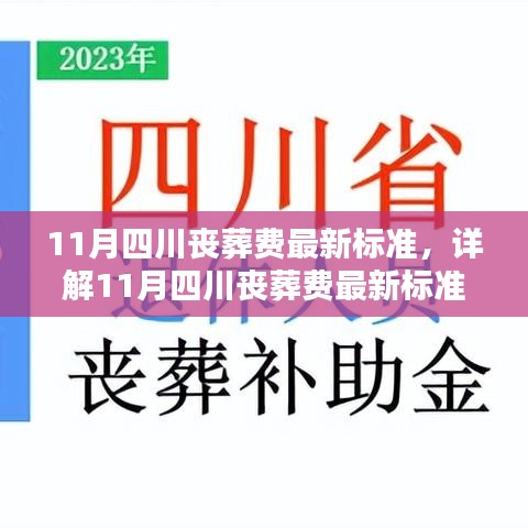 11月四川丧葬费最新标准详解，申请与操作流程