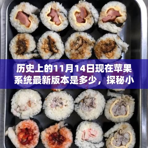 探秘苹果系统最新版本与历史上的11月14日，小巷深处的宝藏奇缘