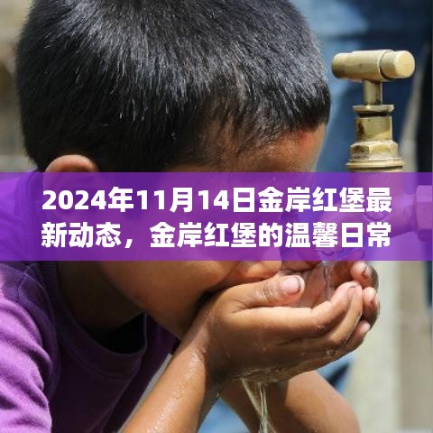 金岸红堡最新动态，温馨日常与情感纽带下的趣事纪实（2024年11月14日）