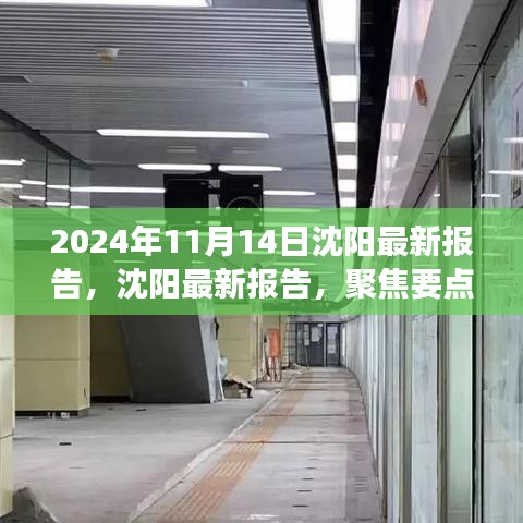 聚焦解读沈阳未来发展趋势，最新报告揭示未来蓝图（2024年11月版）