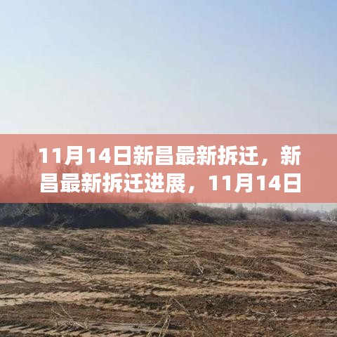 11月14日新昌最新拆迁进展，深刻变革与广泛影响