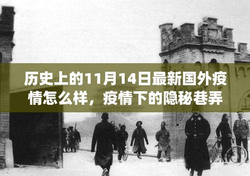 国外疫情下的隐秘巷弄，特色小店的独特故事与全球视角——疫情下的历史变迁与最新动态（标题）