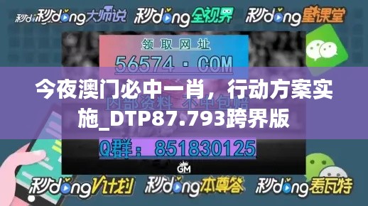 今夜澳门必中一肖，行动方案实施_DTP87.793跨界版