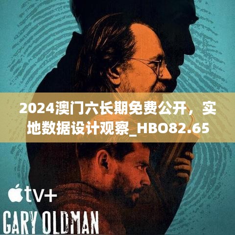 2024澳门六长期免费公开，实地数据设计观察_HBO82.658先锋版