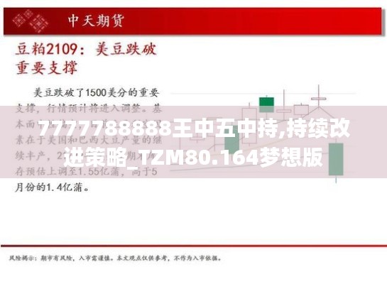 7777788888王中五中持,持续改进策略_TZM80.164梦想版