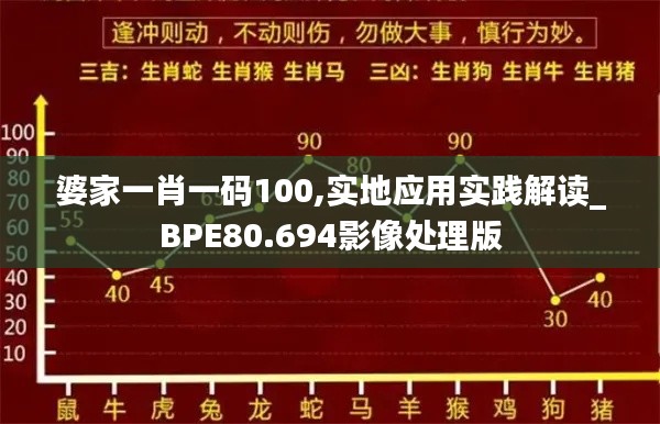 婆家一肖一码100,实地应用实践解读_BPE80.694影像处理版