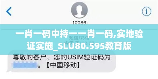 一肖一码中持一一肖一码,实地验证实施_SLU80.595教育版