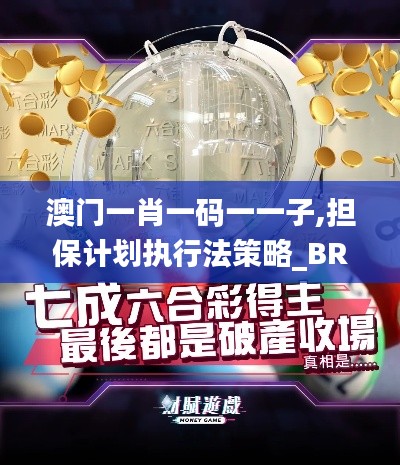 澳门一肖一码一一子,担保计划执行法策略_BRB80.745散热版