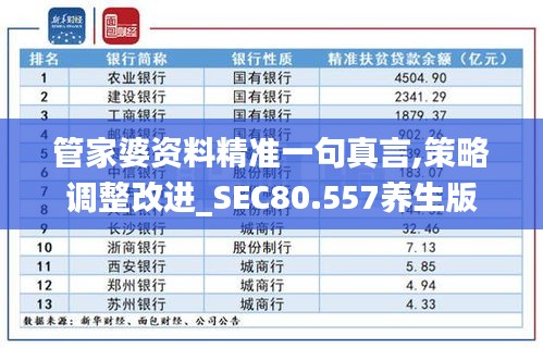 管家婆资料精准一句真言,策略调整改进_SEC80.557养生版