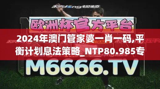 2024年澳门管家婆一肖一码,平衡计划息法策略_NTP80.985专属版