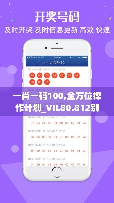 一肖一码100,全方位操作计划_VIL80.812别致版