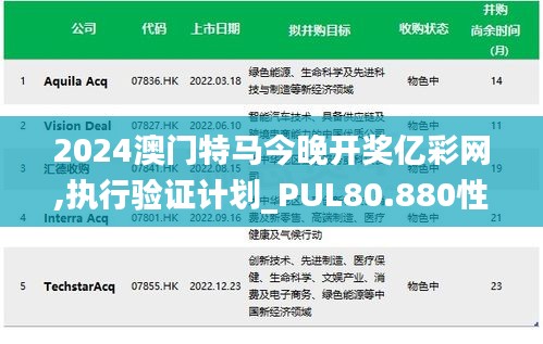 2024澳门特马今晚开奖亿彩网,执行验证计划_PUL80.880性能版