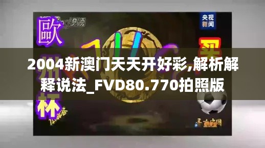 2004新澳门天天开好彩,解析解释说法_FVD80.770拍照版