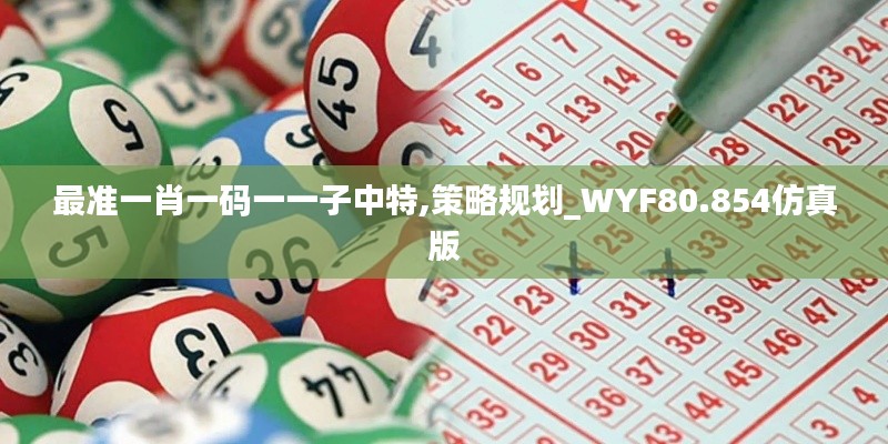 最准一肖一码一一子中特,策略规划_WYF80.854仿真版