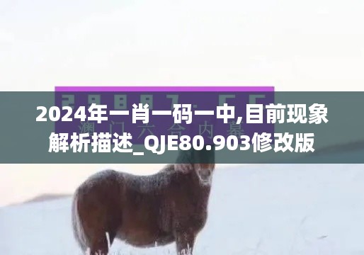 2024年一肖一码一中,目前现象解析描述_QJE80.903修改版