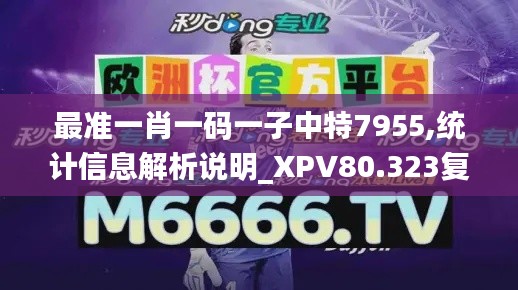 最准一肖一码一子中特7955,统计信息解析说明_XPV80.323复兴版