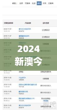 2024新澳今晚开奖号码,安全保障措施_NVY80.479轻量版