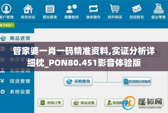 管家婆一肖一码精准资料,实证分析详细枕_PON80.451影音体验版