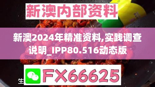 新澳2024年精准资料,实践调查说明_IPP80.516动态版