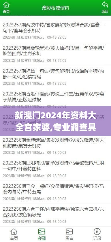 新澳门2024年资料大全宫家婆,专业调查具体解析_JCQ80.604经典版