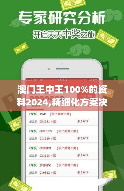 澳门王中王100%的资料2024,精细化方案决策_FGT80.207娱乐版