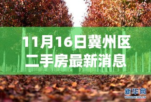 冀州区二手房市场最新动态深度解析——11月16日最新消息