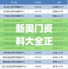 新奥门资料大全正版资料查询,全盘细明说明_FJM80.664外观版